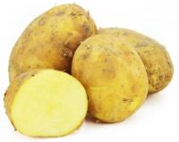 Ziemniaki Żółte świeże jadalne EKOLOGICZNE BIO Eko