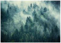 FOTOTAPETA LAS WE MGLE ZIELONY DO SYPIALNI SALONU TAPETA ŚCIENNA 400x280