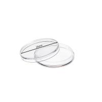 KAPSLE KAPSUŁY NA MONETY 25 mm 10 szt