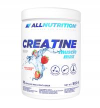 ALLNUTRITION CREATINE MUSCLE MAX 500g TRUSKAWKA KREATYNA MIĘŚNIE MASA POMPA