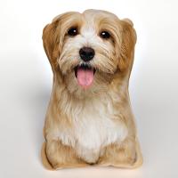 Poduszka dziecieca pies