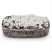 МИЦЕЛИЙ ШАМПИНЬОНОВ БЕЛЫЙ БАЛОТ СУБСТРАТ 3ФАЗА 20КГ С ТЕСТИРОВАНИЕМ ИНСТРУКЦИЯ