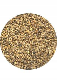 Ziarno Konopi 20Kg