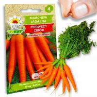 Морковь семена моркови первый урожай Б. ранняя морковь сочная для сока