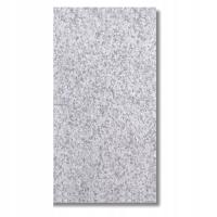 Гранитная плитка G603 120x60x3