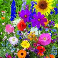 Смесь полевых цветов экспресс связка смесь цветов 100 г клумба Луговая