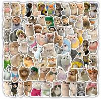 Naklejki DIY Sanrio 60 szt. z postaciami Kawaii 16x11 cm