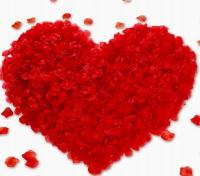 Walentynki konfetti płatki róż czerwone bordo 500 sztuk Rocznica Wesele