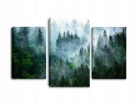 Obraz na płótnie las mgła O-20 tryptyk 120x80