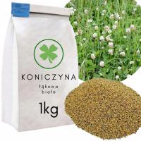 Koniczyna Biała Nasiona Poplon 1kg Pastwiskowa KWALIFIKOWANA łąkowa Pasza