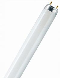 INVITAL UV świetlówka 30W T8, G13 (dla TMC)