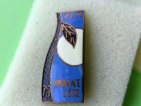 Stara Odznaka Emalia- SZSP PG - OPADAJĄCE LIŚCIE - 75