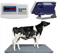 Скотоводческие электронные весы для животноводства платформы 3Т 0,5 кг