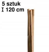 Naturalne bambusowe tyczki do roślin Tonkin - ⌀9 mm / 120 cm, 5 sztuk