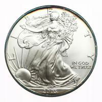 USA 1 dolar 2003 uncja srebra piękna mennicza