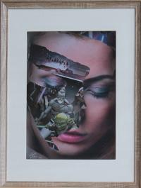 Gerald Baes - Princess 2019