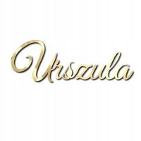 Имя на стороне торта любое слово надпись деко имя плексиглас золотое зеркало 11см