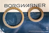 BorgWarner BW34265KIT zestaw tarcz ciernych
