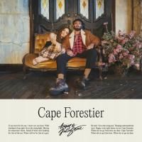 Angus & Julia Stone - Cape Forestier (LP) WINYL