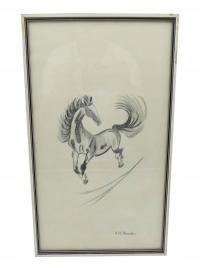 картина рисунок карандаш лошадь Ф. Х. Франкен