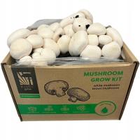 Набор для выращивания грибов мицелия 7 кг руководство по выращиванию домашних грибов