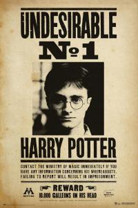 Harry Potter Undesirable No 1 - plakat 61x91,5 cm