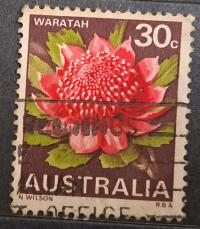 Australia luzak kas - 22/8