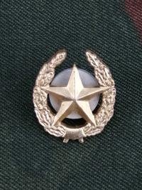 Korpusówką РОССИЯ ПЕХОТА ЭЛЕКТРОПРИВОДОМ