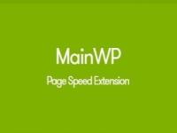 Mainwp Page Speed Extension