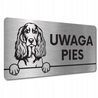 TABLICZKA UWAGA PIES ZŁY Cocker spaniel angielski TABLICZKA UWAGA ZŁY PIES