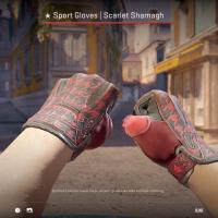Sport Gloves / Scarlet Shamagh (3/5), спортивные перчатки, Перчатки, CS2