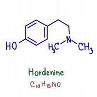 Hordenina HORDENINE HCL >99% BADANIA! UNIKAT! 1g