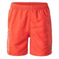 Мужские шорты AQUAWAVE AOGASH