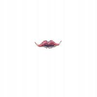 Витрина из цветного стекла.