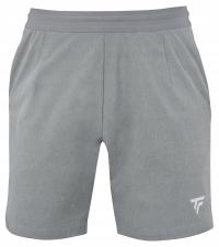 Spodenki męskie Tecnifibre Team Short silver