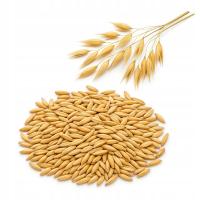 Овес корм для птицы кроликов лошадей 20 кг