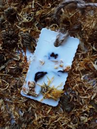 Tabliczka florencka zapachowa nagietek