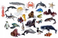 Magnesy na lodówkę poznaję ZWIERZĘTA WODNE TEKTURA