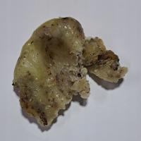 Elemi Żywica Canarium Luzonicum 1 Kg Rafex