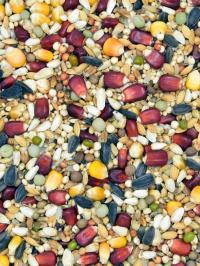 LTM LOTOWA TURBO MISTRZÓW 25KG MDM karma dla gołębi Energia no