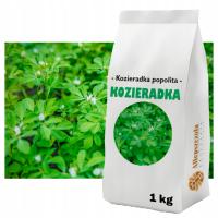 KOZIERADKA POSPOLITA POPLON Roślina miododajna Ziarno 1 kg