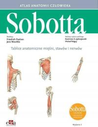 Tab. anatomiczne mięśni, stawów i nerwów Sobotta