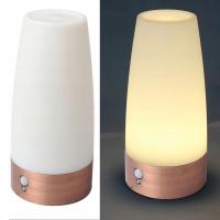 LAMPKA NOCNA LAMPKI STOŁOWE DZIECKO MALUCH