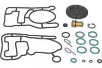 BRC Gas Equipment 02RR00502508