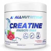 ALLNUTRITION CREATINE MONOHYDRATE KREATYNA 250g MALINA