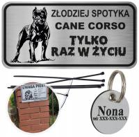 TABLICZKA UWAGA PIES ADRESÓWKA CANE CORSO