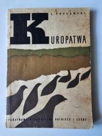 KUROPATWA LEON POPŁAWSKI+Ptaki ziem polskich tom 1 J.Sokołowsi