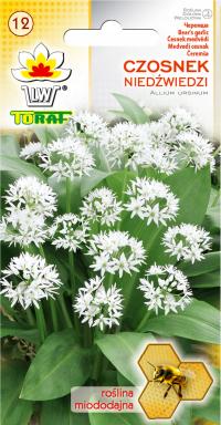 TORAF Czosnek Niedźwiedzi 0,25g