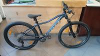 SCOTT Contessa Active 10 S 27,5