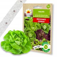 Семена овощей на ленте 7м смесь салатов для салатов для многократного сбора урожая